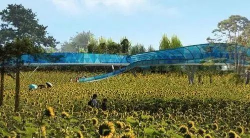 園博會(huì)展示 園博會(huì)展示